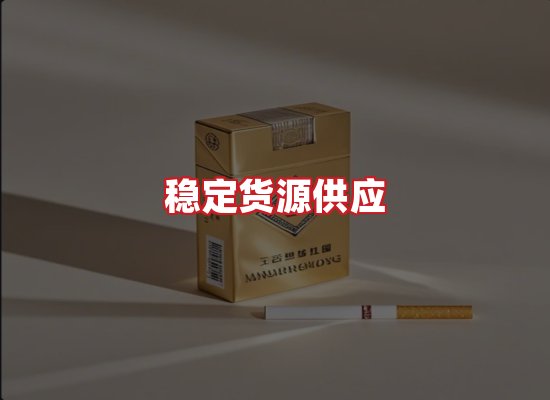 专业团队